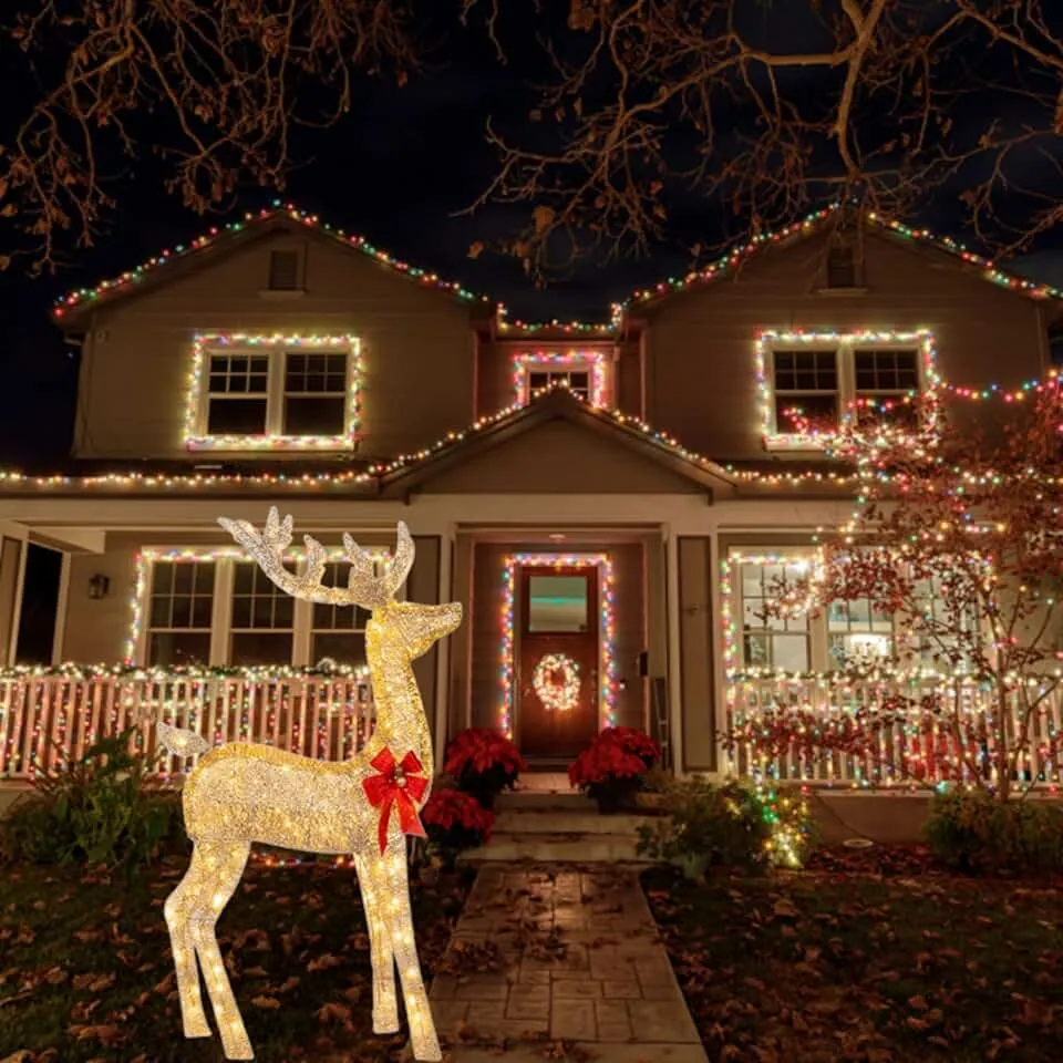 Make Your Holidays Shine with Us