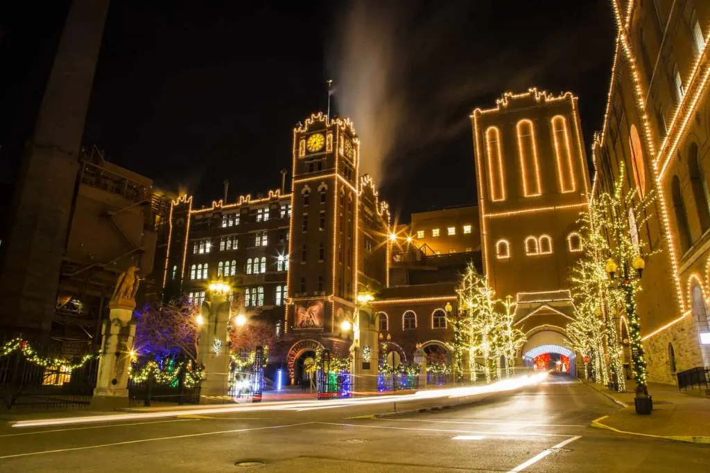 professional christmas light installation